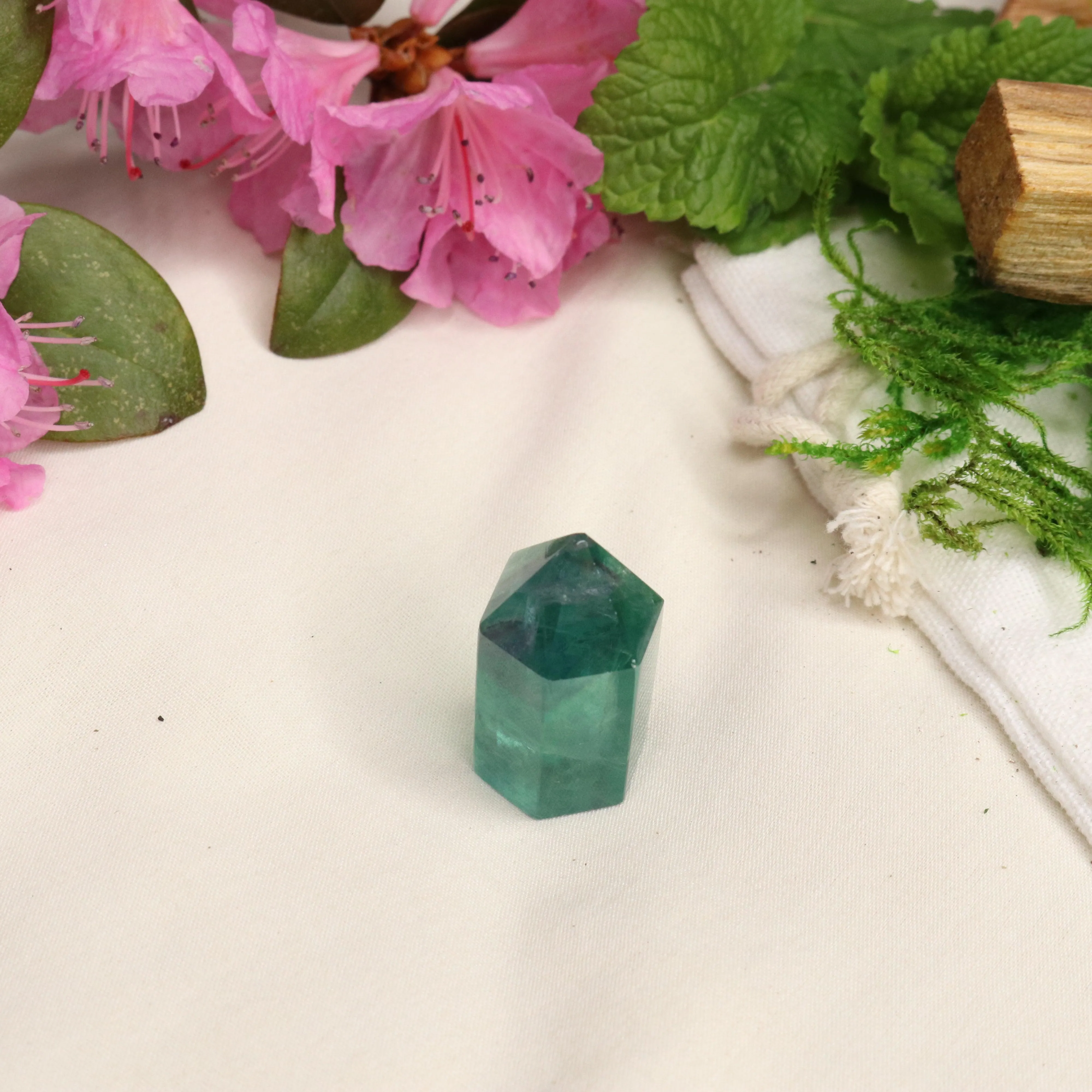 AA Grade Fluorite Polished Mini Point #1