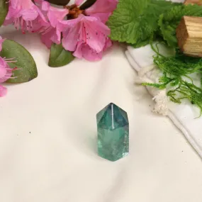 AA Grade Fluorite Polished Mini Point #1