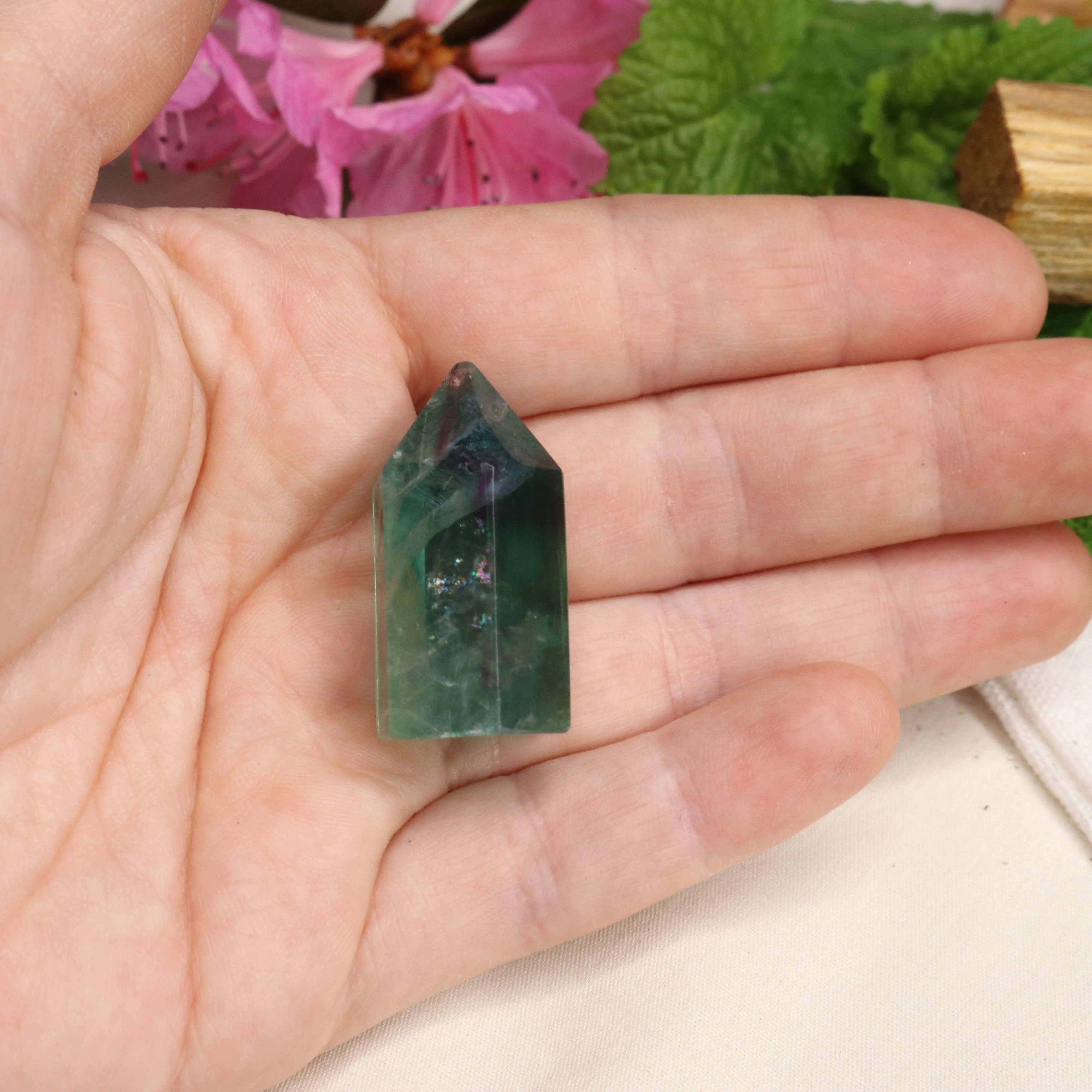 AA Grade Fluorite Polished Mini Point #1