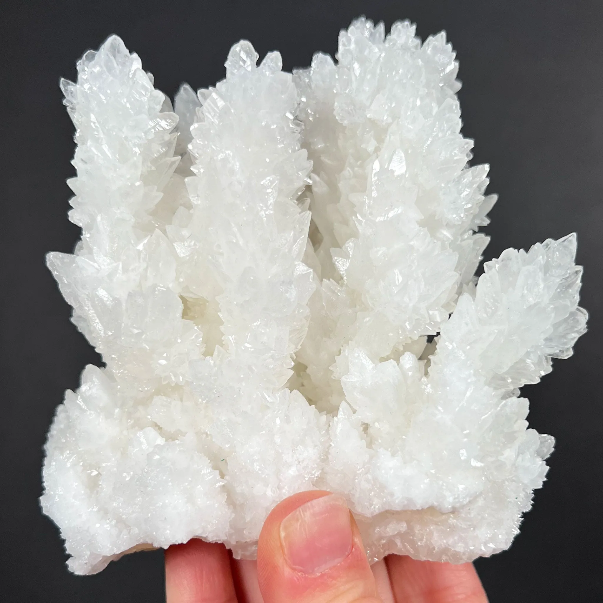 Aragonite / Calcite