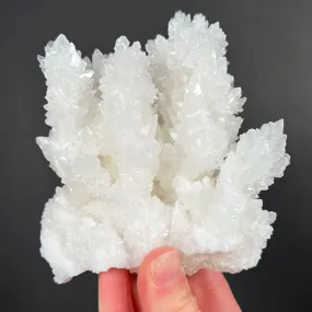 Aragonite / Calcite