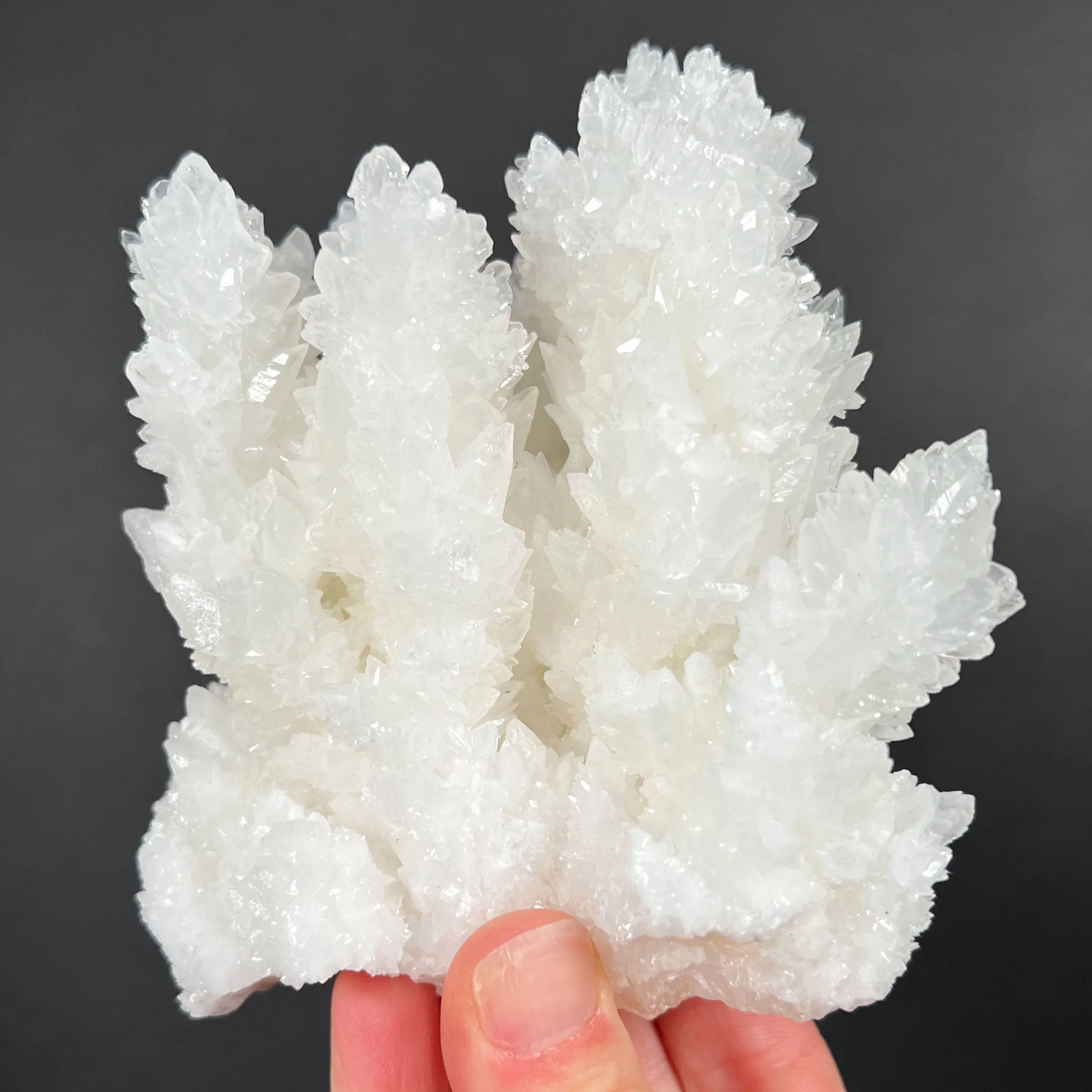 Aragonite / Calcite