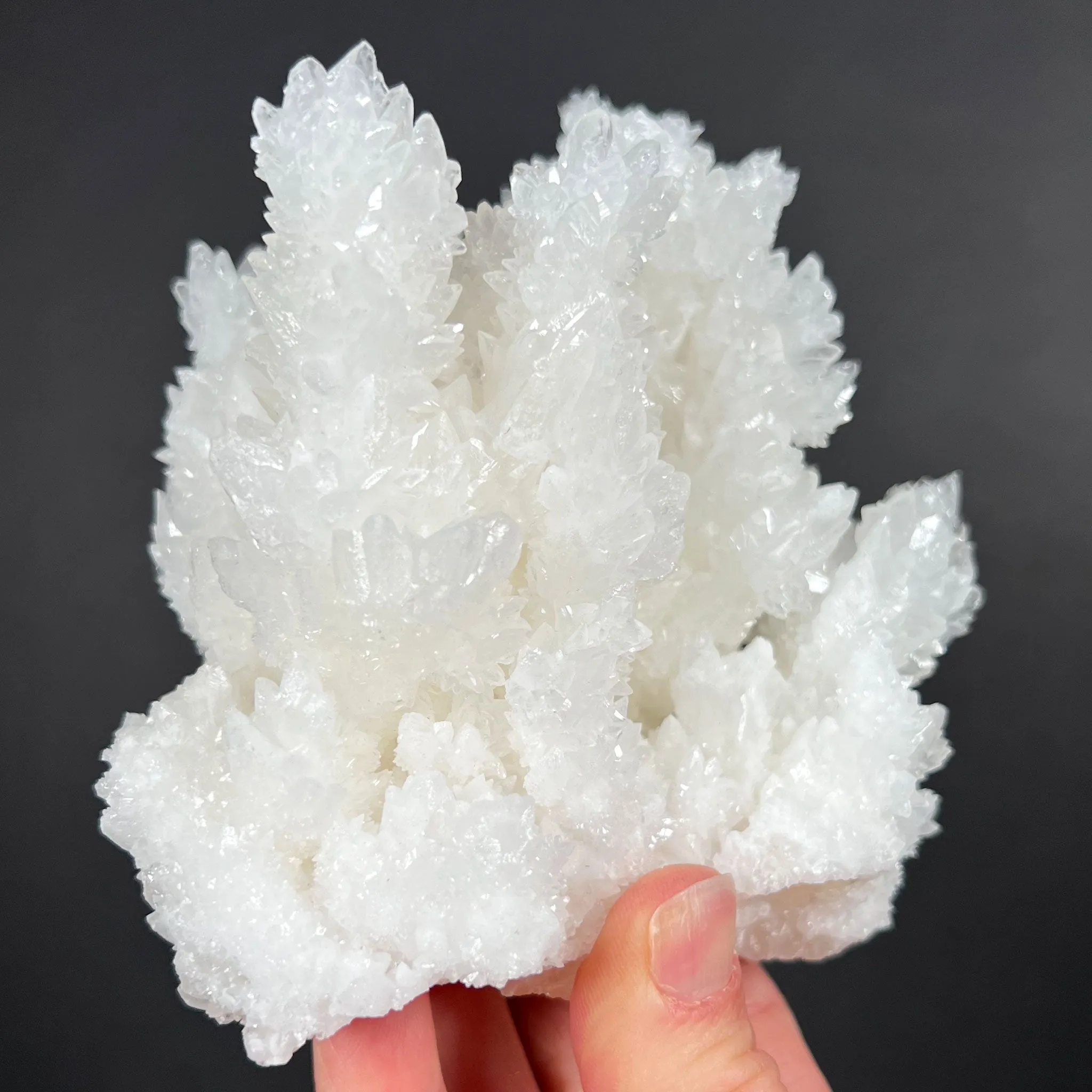 Aragonite / Calcite