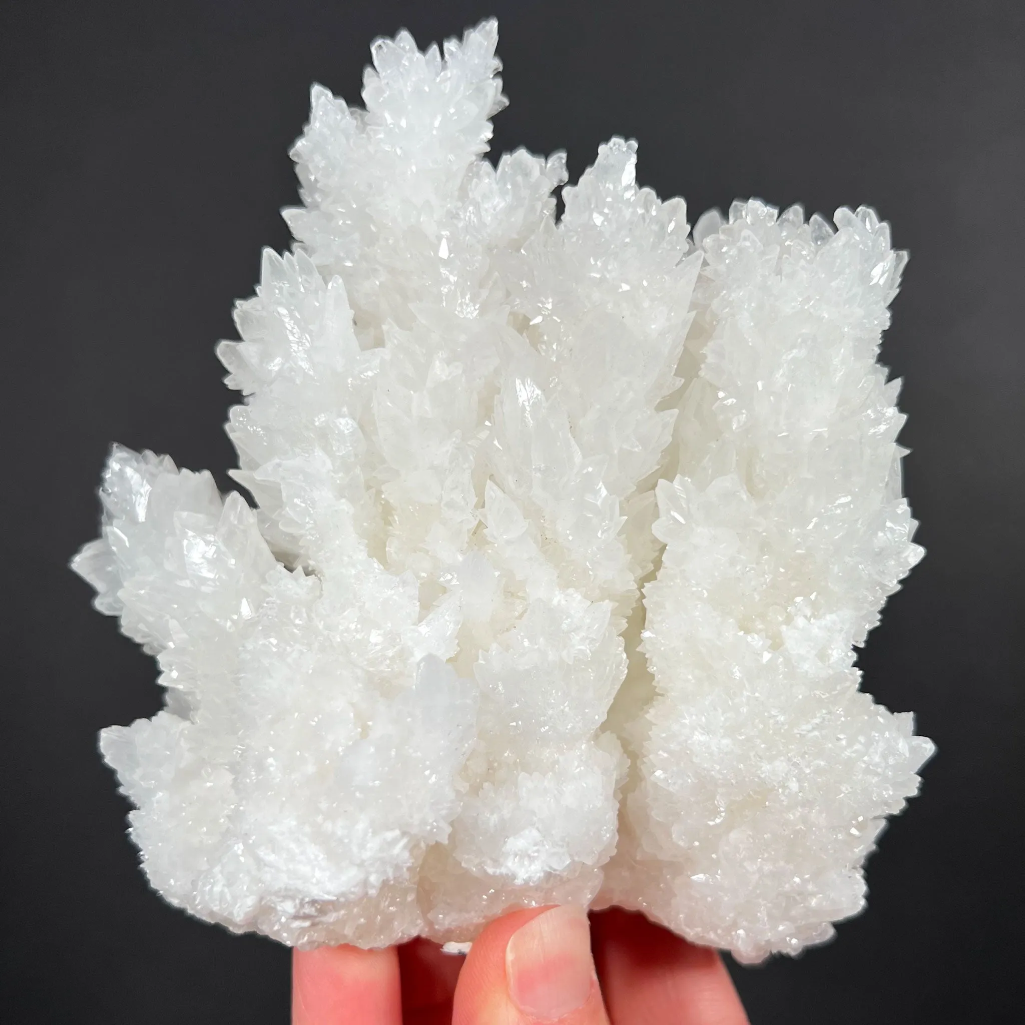 Aragonite / Calcite