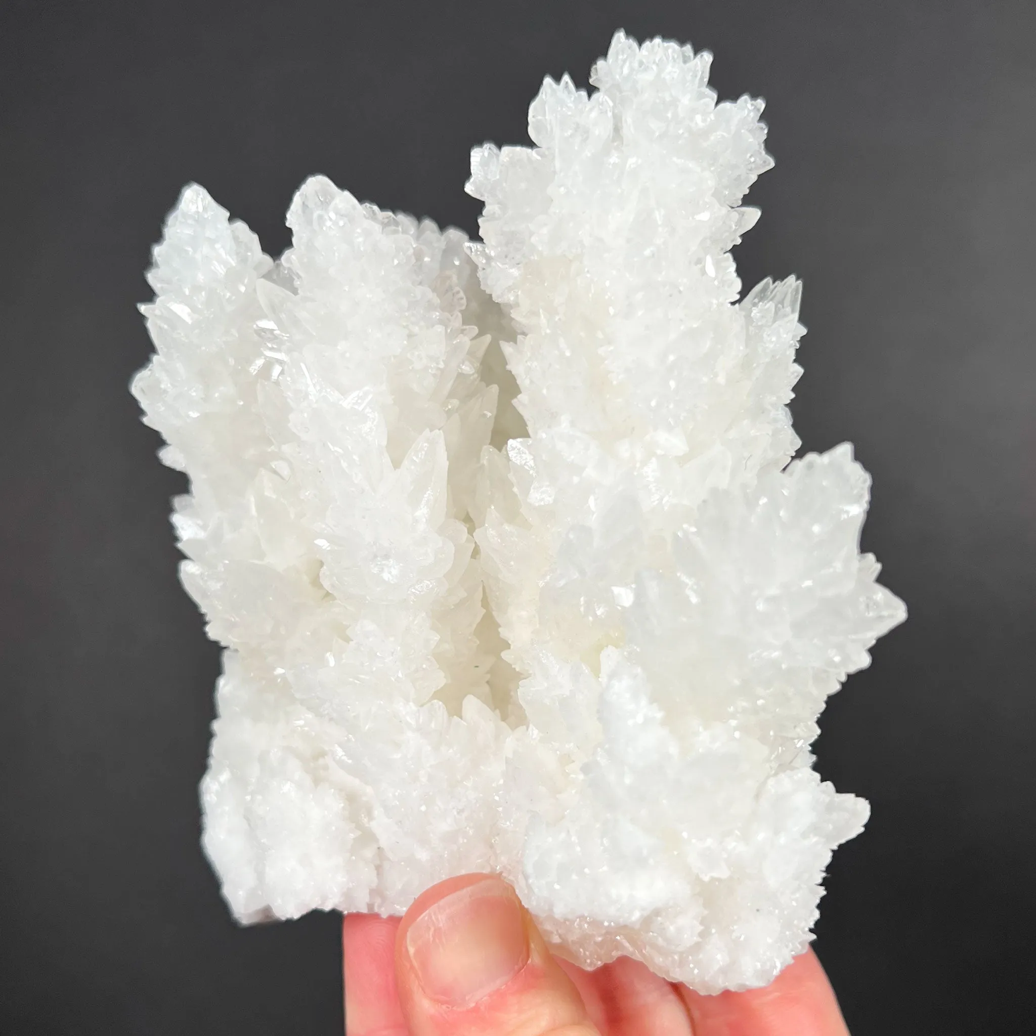 Aragonite / Calcite