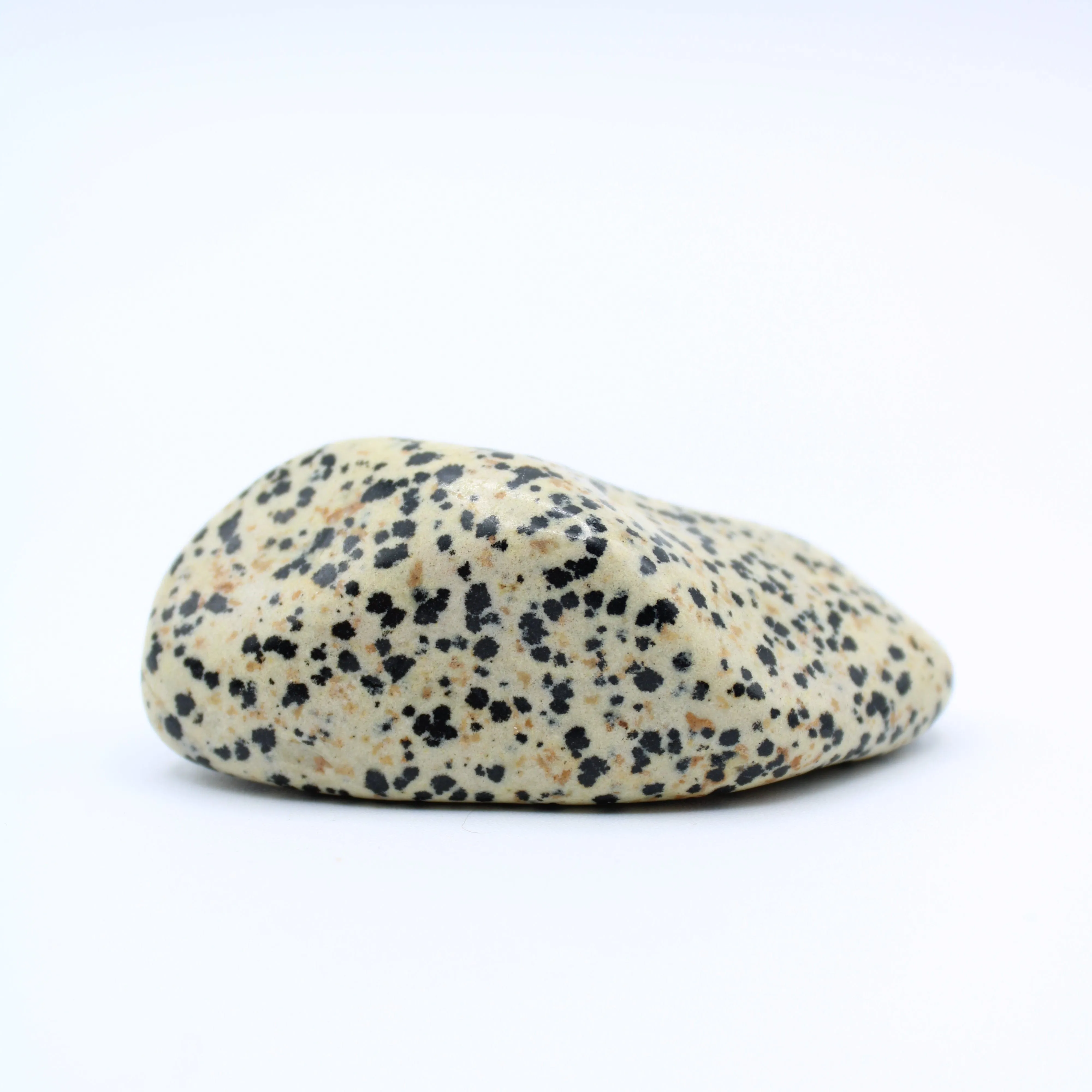 Dalmatian Jasper Free-Form