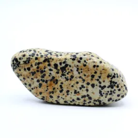 Dalmatian Jasper Free-Form