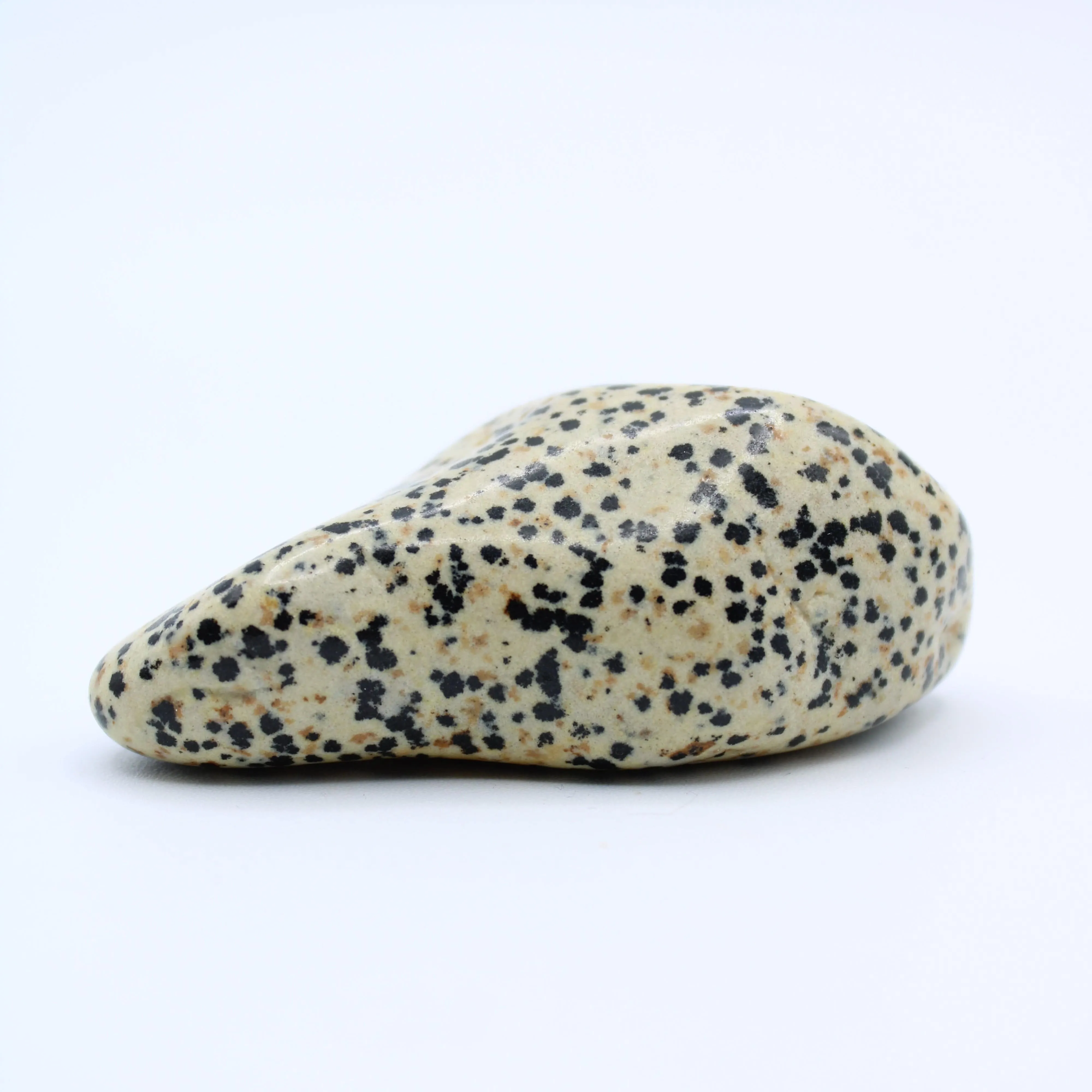 Dalmatian Jasper Free-Form