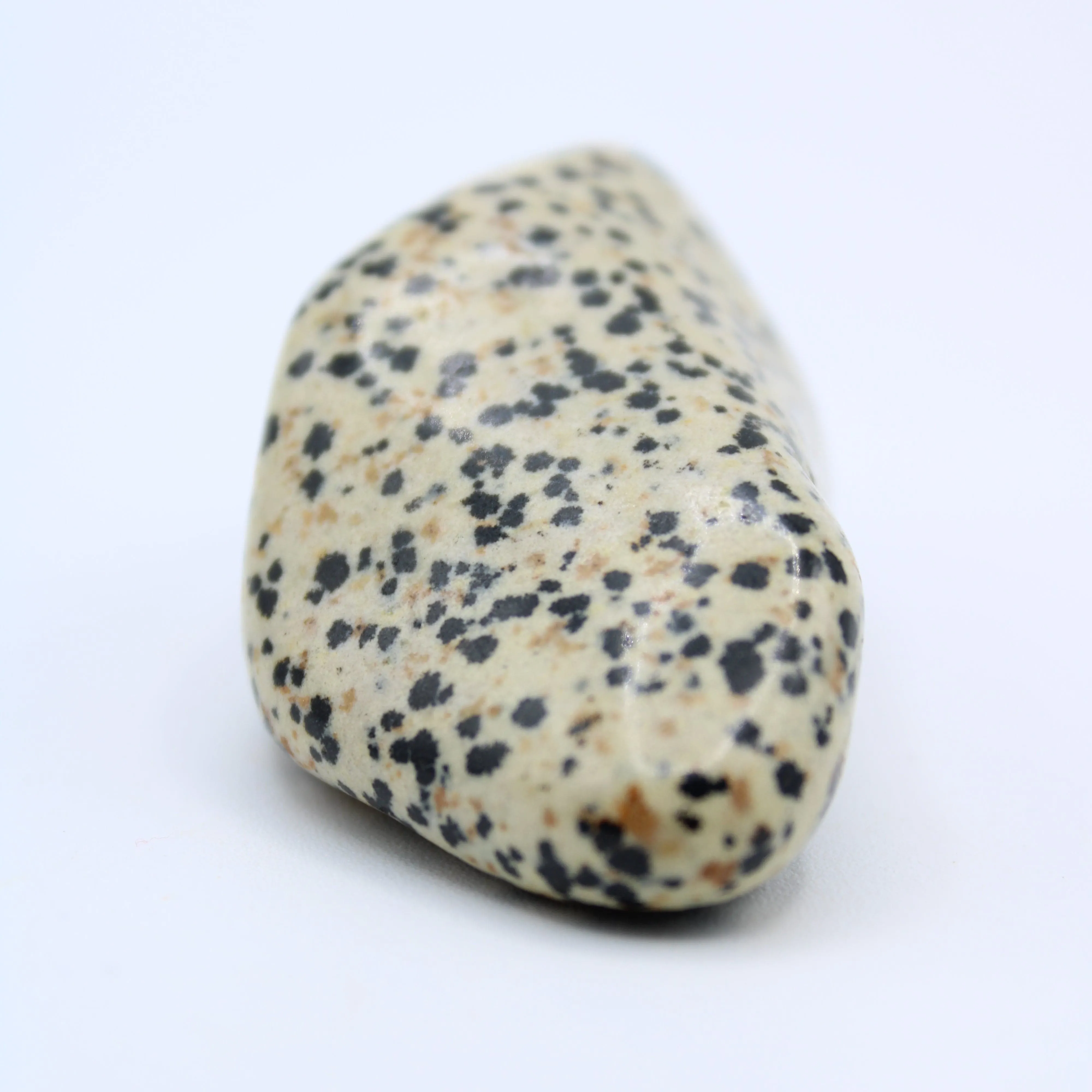 Dalmatian Jasper Free-Form