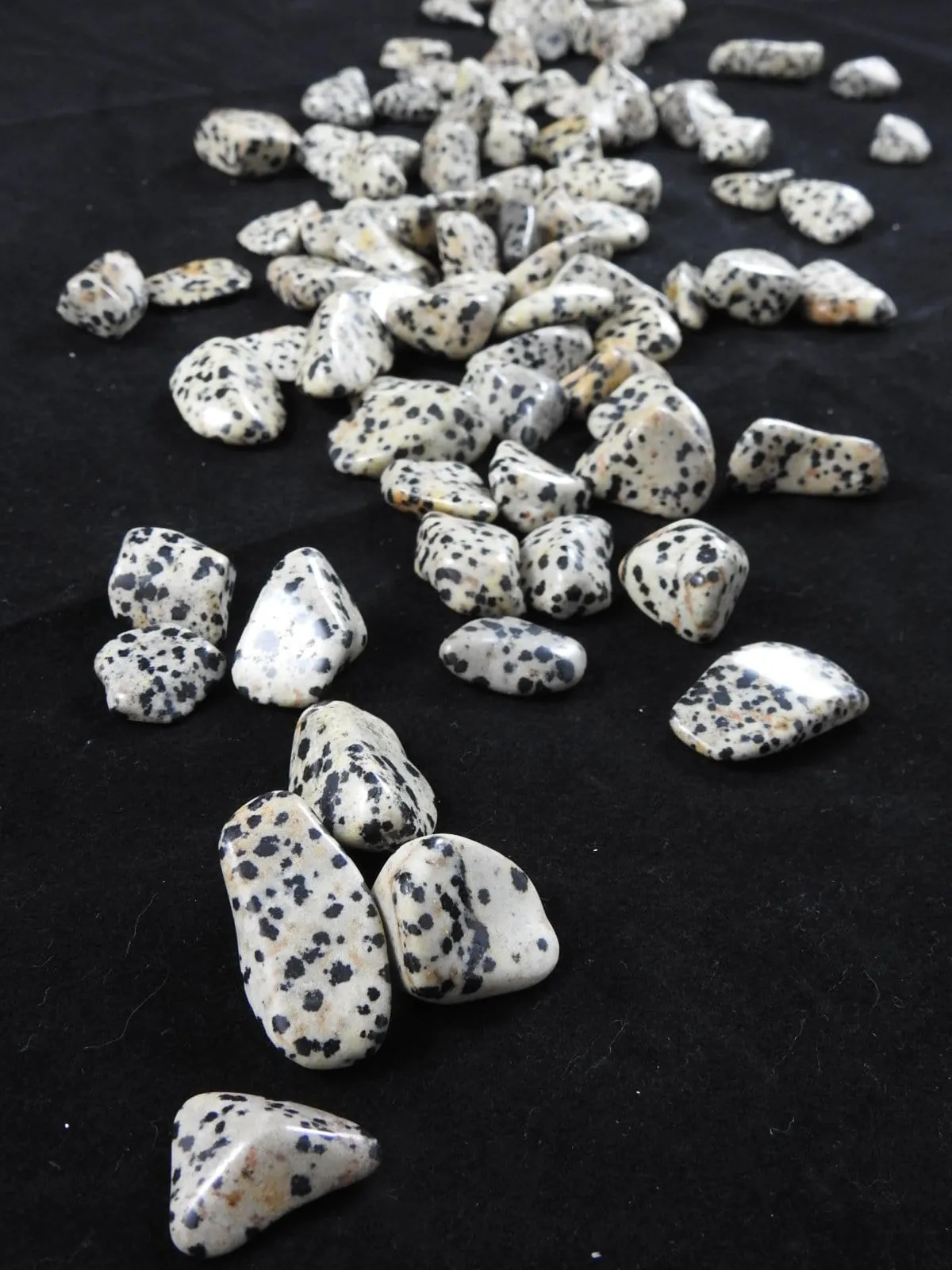 Dalmatian Jasper Tumbled