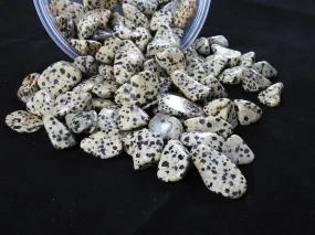 Dalmatian Jasper Tumbled