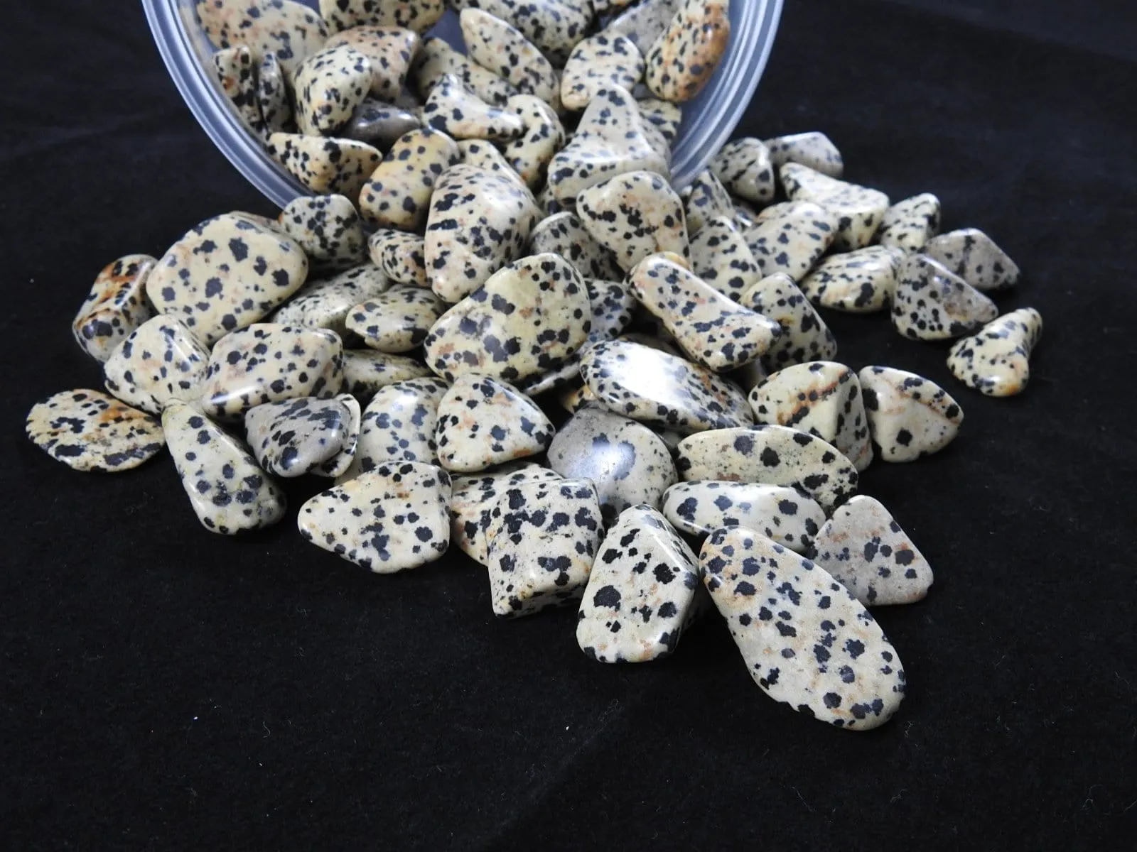 Dalmatian Jasper Tumbled