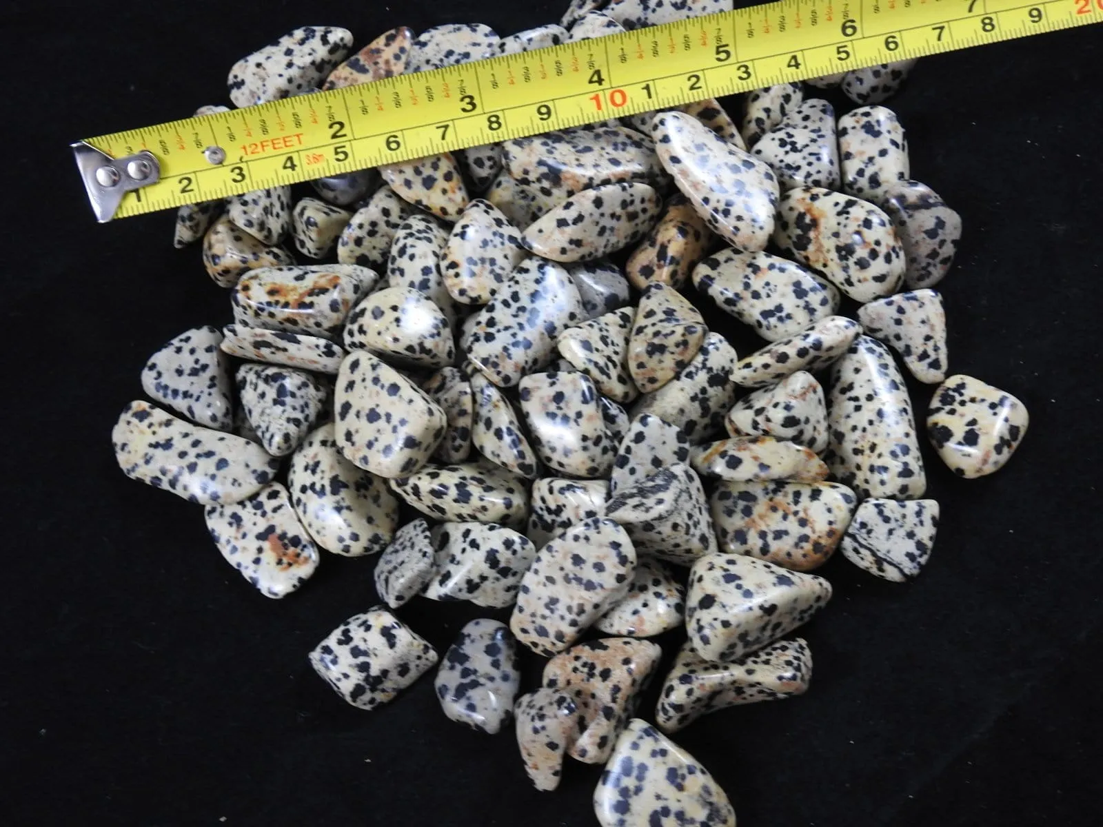 Dalmatian Jasper Tumbled