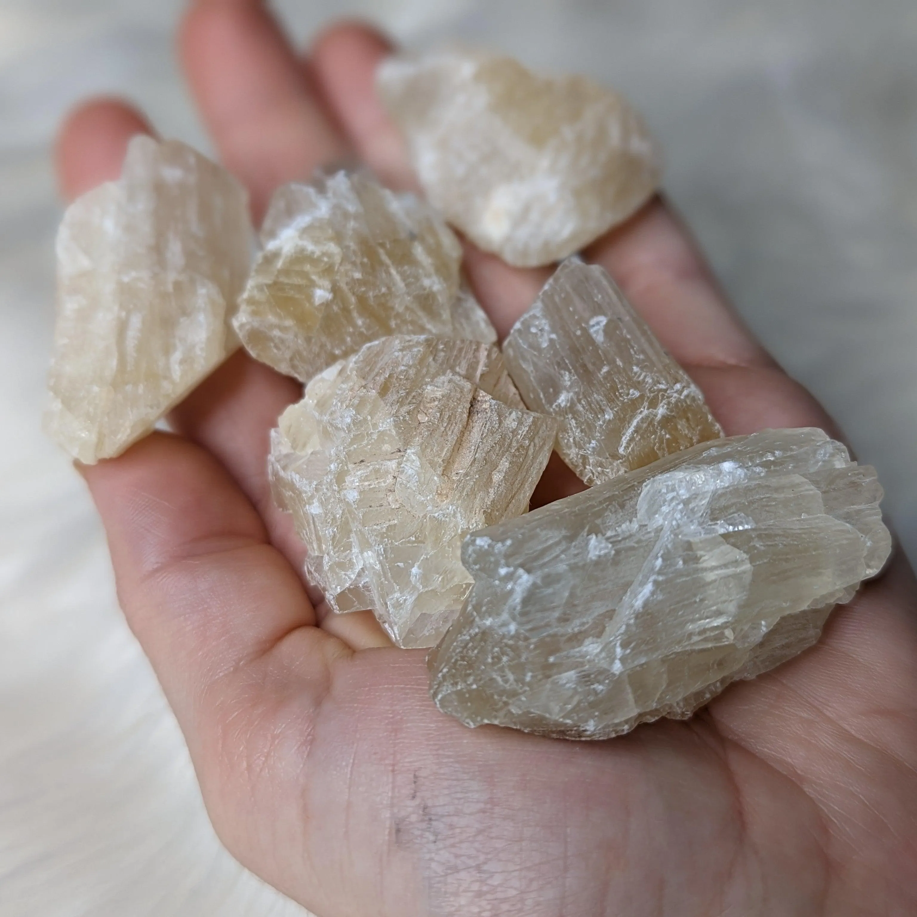 Golden Honey Calcite ~ Raw Set of 6